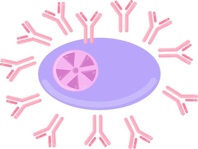 Oslabená Imunita Po Antibiotikách: Jak Se Zotavit?