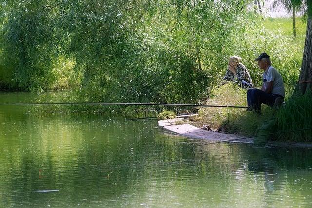 Přirozená detoxikace slinivky: 5 tipů pro zdraví