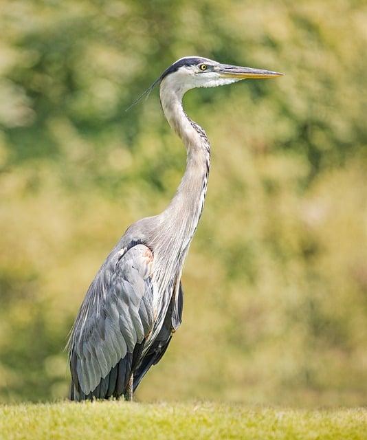 Zásada 6: Nenechte se odradit nepříjemnými pocity, jsou součástí procesu