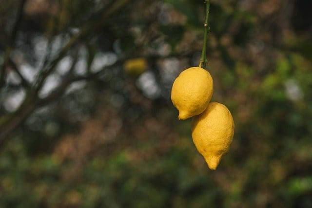 Jak integrovat citron do zdravé stravy