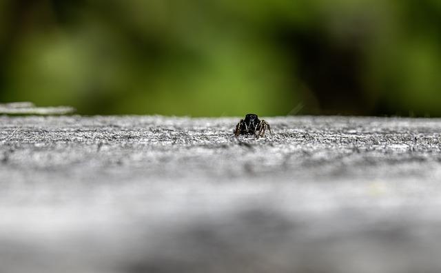 Jak najít rovnováhu a klid ve slovech básní o otužování