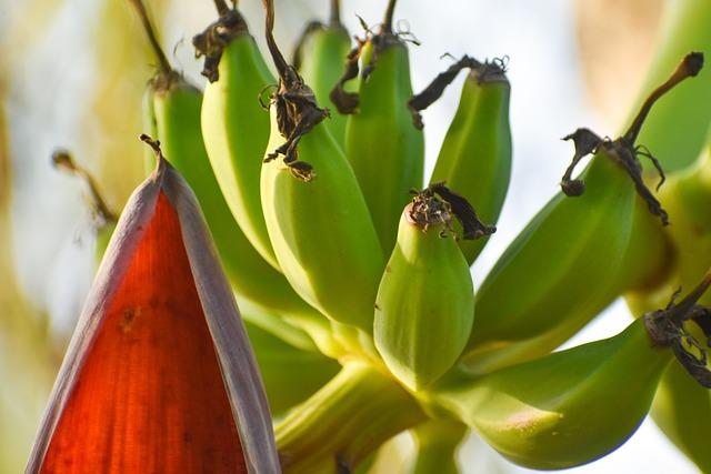 Nejlepší testy pro domácí měření cholesterolu v roce 2024