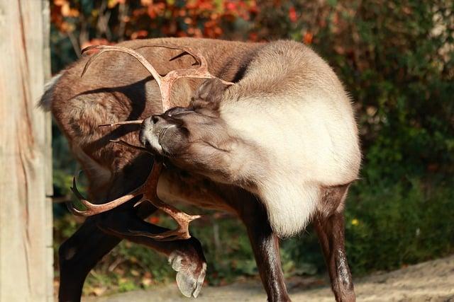 Stop svědění po holení: 7 způsobů, jak ulevit pokožce