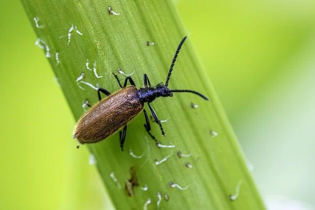 Ochrana pleti pomocí vitaminu C a kolagenu