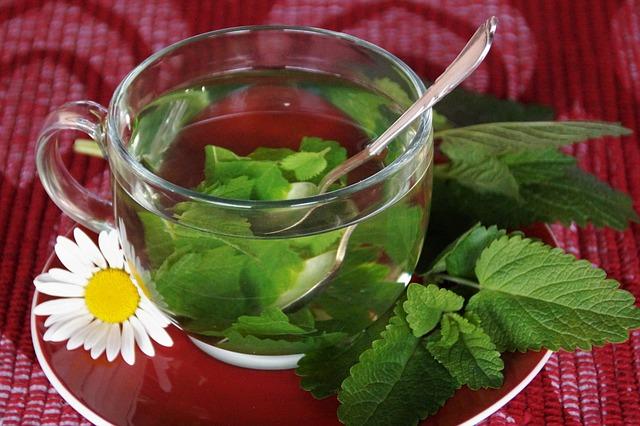 Základní recept na meduňkový citronový detox