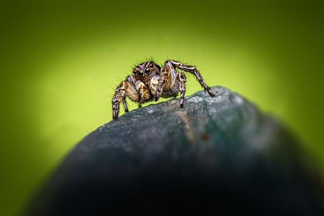 V případě předávkování kyselinou askorbovou postupujte podle odborného doporučení